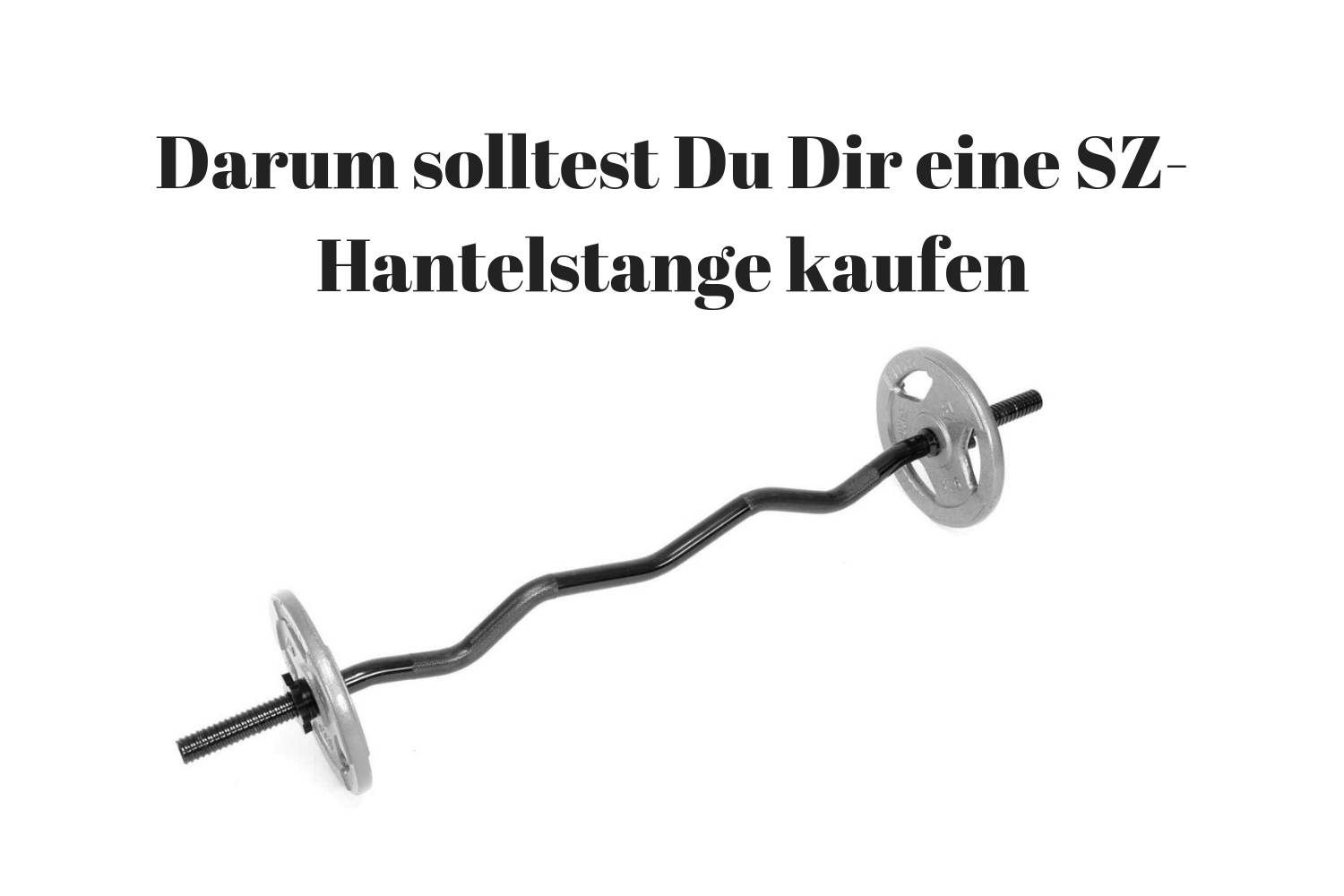 ᐅᐅ Welche SZ Stange kaufen? Das solltest Du beachten! ᐅᐅ Welche SZ Stange kaufen? Das solltest Du beachten!
